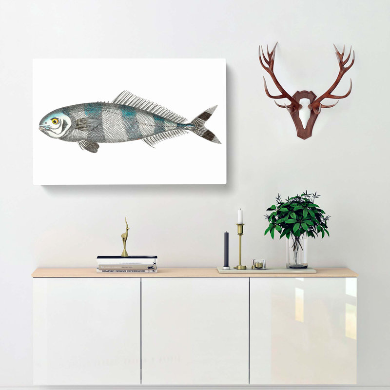Pilot Mackerel Fish by George Shaw - Wrapped Canvas Painting Print, 35cm H x 50cm W x 3cm D