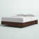 Aristocles Bed