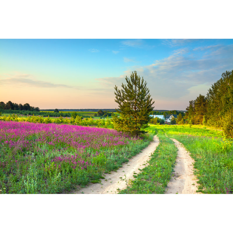 Summer Rural Landscape With A Blossoming Meadow, Road And A Farm by Yanikap - Wrapped Canvas Print, 30cm H x 46cm W x 3.8cm D