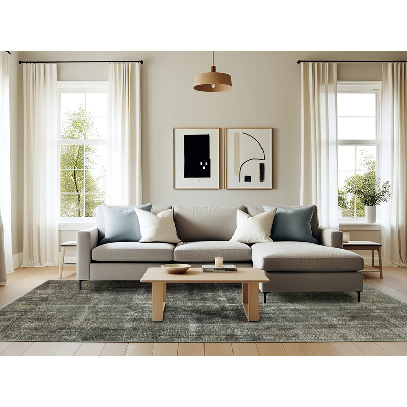 Meinard Oriental Indoor Rug, Rectangle 6' x 9'