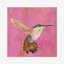 Sweet Hummingbird I by Mehmet Altug - Painting-2031753075-2031753070
