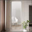 Miroir mural 56 x 15 pouces