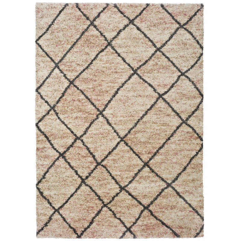 Mordenhill Southwestern Area Rug, Rectangle 133 x 190cm