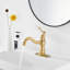 Single-Hole Single-handle Bathroom Faucet with Drain Assembly-81641129