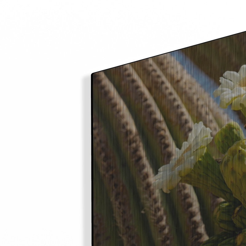 «Saguaro Cactus Blooms Az 8745» par Mike Jones, art mural en métal, 24 po x 16 po, 24 po x 16 po
