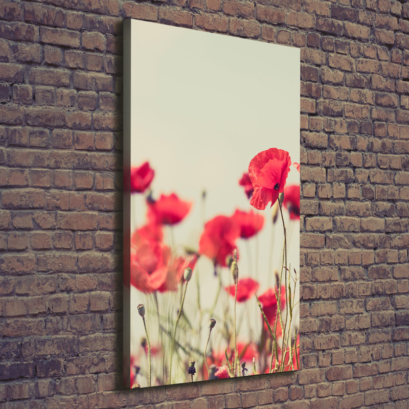 Field Poppies - Wrapped Canvas Print