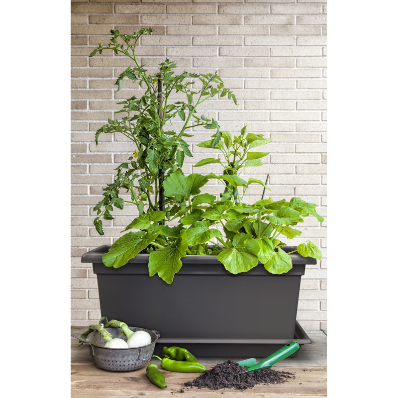 Self-Watering Planter, Flower Pot - Living Wall Kit, 39cm H x 78.5cm W x 38cm D, Anthracite