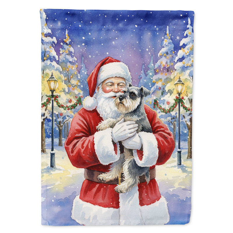 Schnauzer avec le drapeau du père Noël, Taille du jardin, Schnauzer