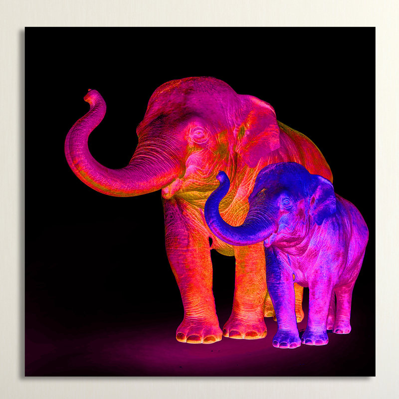 «Neon Elephant Mom», reproduction d'impression sur toile encadrée, H 24 po x l 24 po x P 1,5 po, Toile tendue