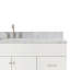 Partham 67" Single Pedestal Bathroom Vanity with Carrara Marble Top-93068135