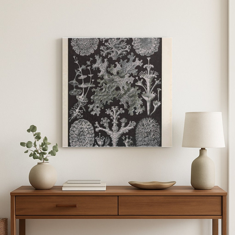 Kunstformen der Natur – Lichenes, Tafel 83 (1904) — Art mural carré en métal, H 16 po x l 16 po