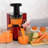 Omega Cold Press Masticating Vertical Low-Speed Juicer-50102395