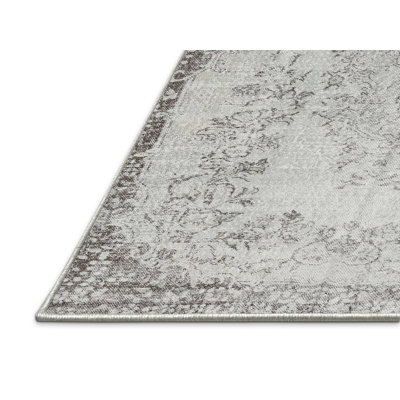 Amiyr Oriental Indoor Rug