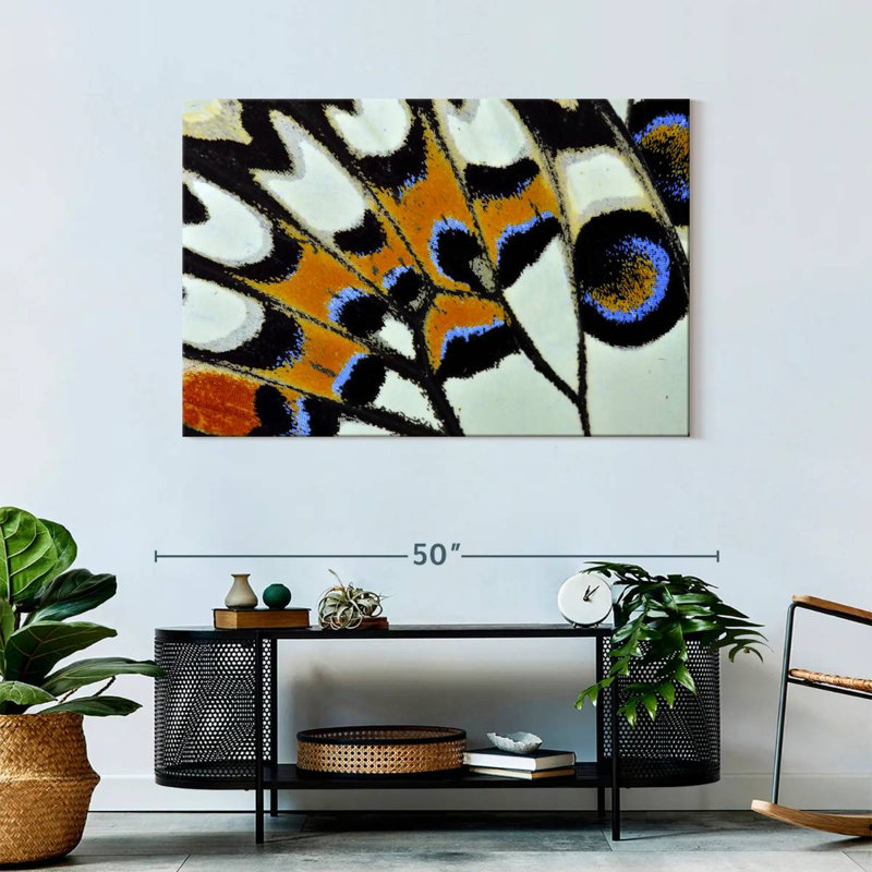 Brampt Butterfly Wing Close Up, 30" H x 45" W