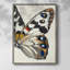 ANIMALS Series CECLII, reproduction encadrée - bois massif-96558939