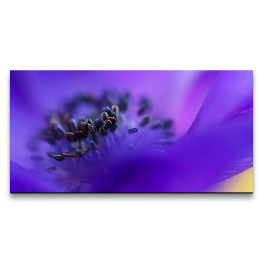 Leinwandbild Makro von einer Blume