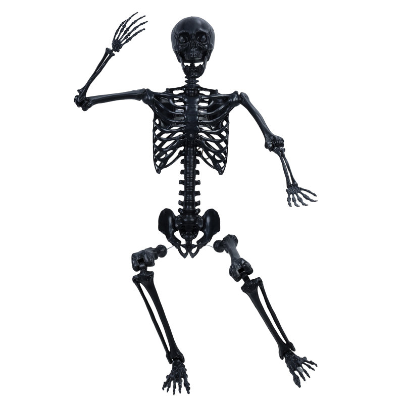 Halloween Skeleton,Full Body Realistic Human Bones with Posable Joints,Skeleton with Hanging Hole