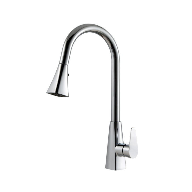 Robinet de cuisine à poignée simple, Chrome poli