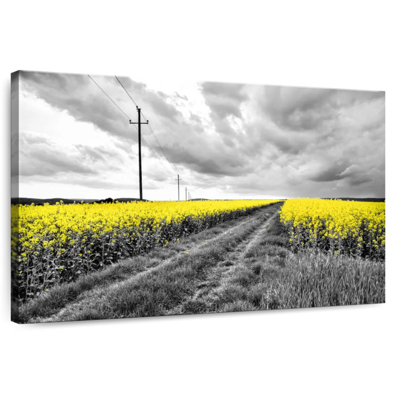 Champ de fleurs jaunes Alvord Pop, H 8 po x l 12 po