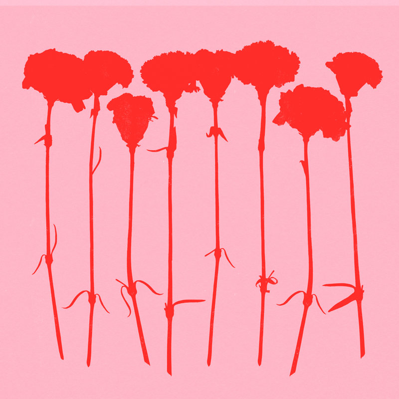 «Carnations 3» par Garima Dhawan, impression, H 20 po x l 20 po, Oui, Cadre simple noir