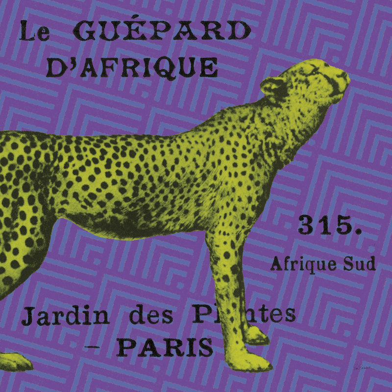 Léopard safari vif, H 12 po x l 12 po, Non, Toile tendue