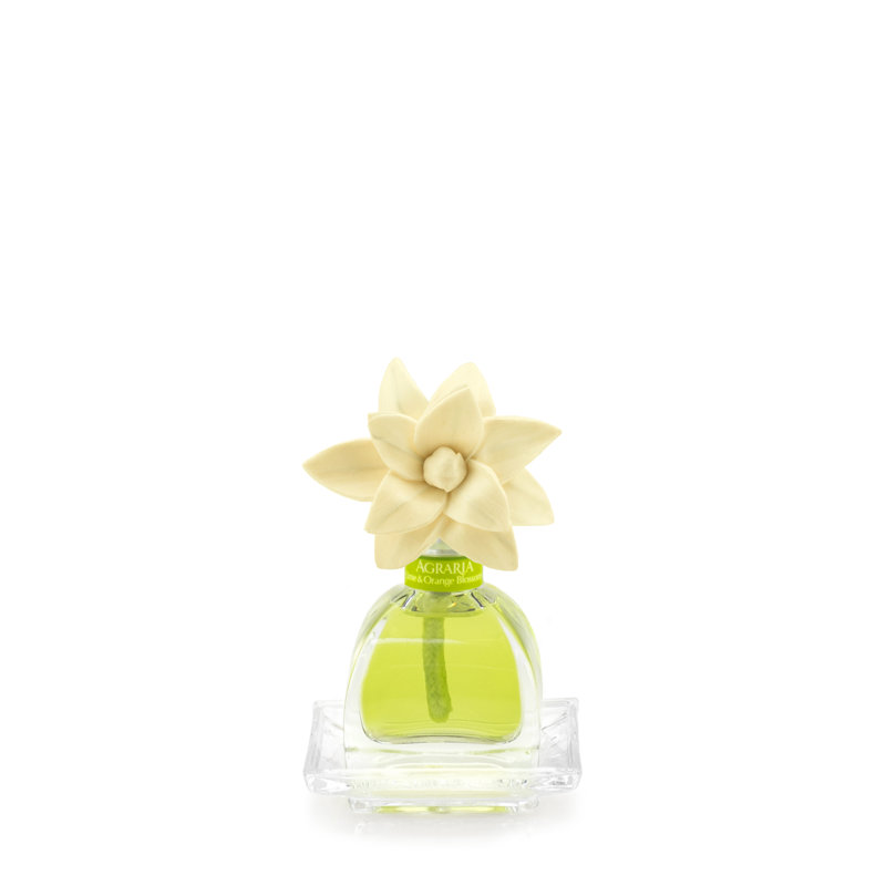 Petitessence Lime and Orange