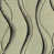 Taupe noire