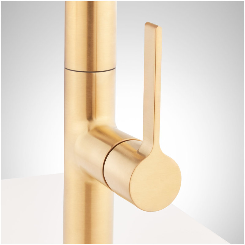 Aldridge Signature Bok Pull Down Single Handle Kitchen Faucet, Gold Tones