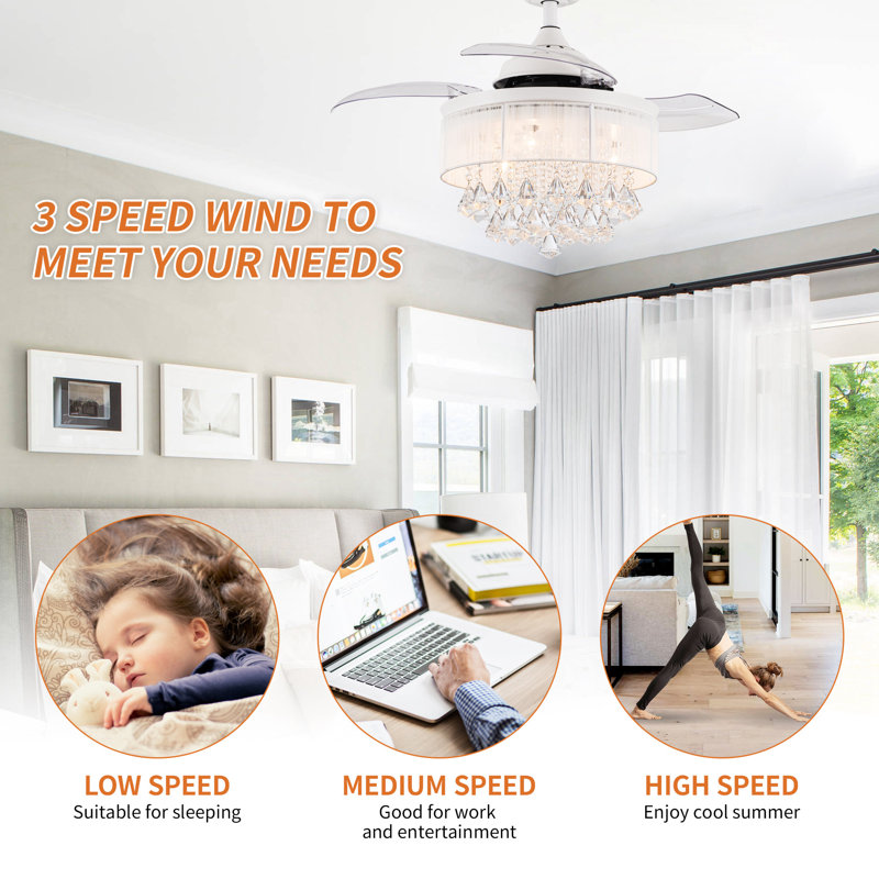 House of Hampton® Heatherly 36'' Ceiling Fan with Light Kit & Reviews ...