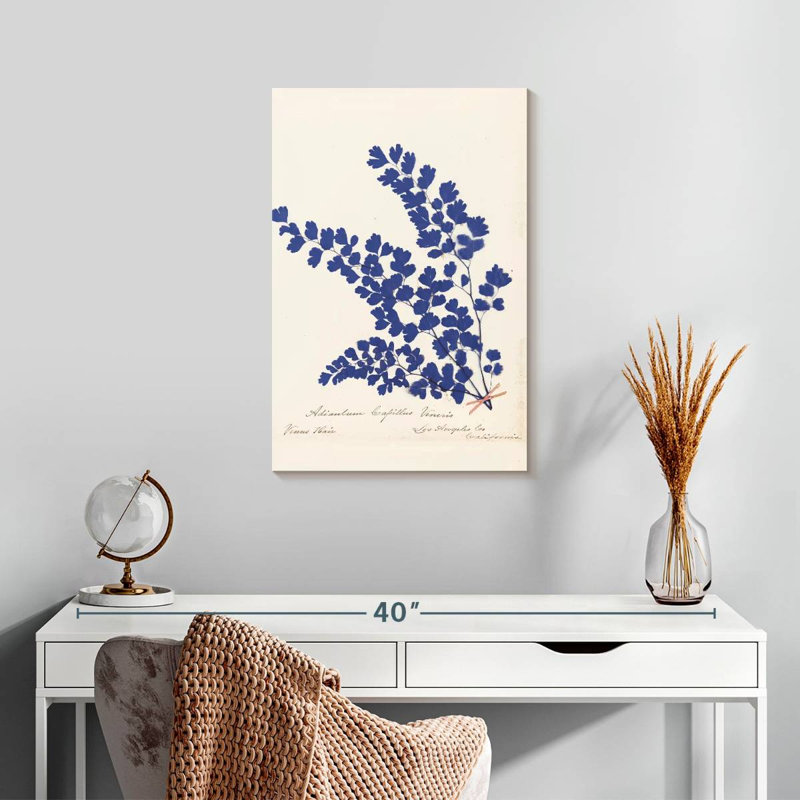 Harnek Botanical Fern III, H 24 po x l 16 po