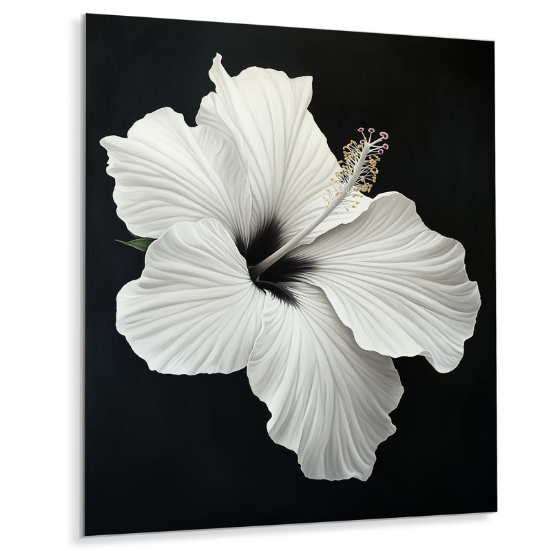 Hibiscus au clair de lune V - Impression sur métal Black Exotic Blooms, H 32 po x l 24 po