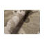 Abstract Area Rug