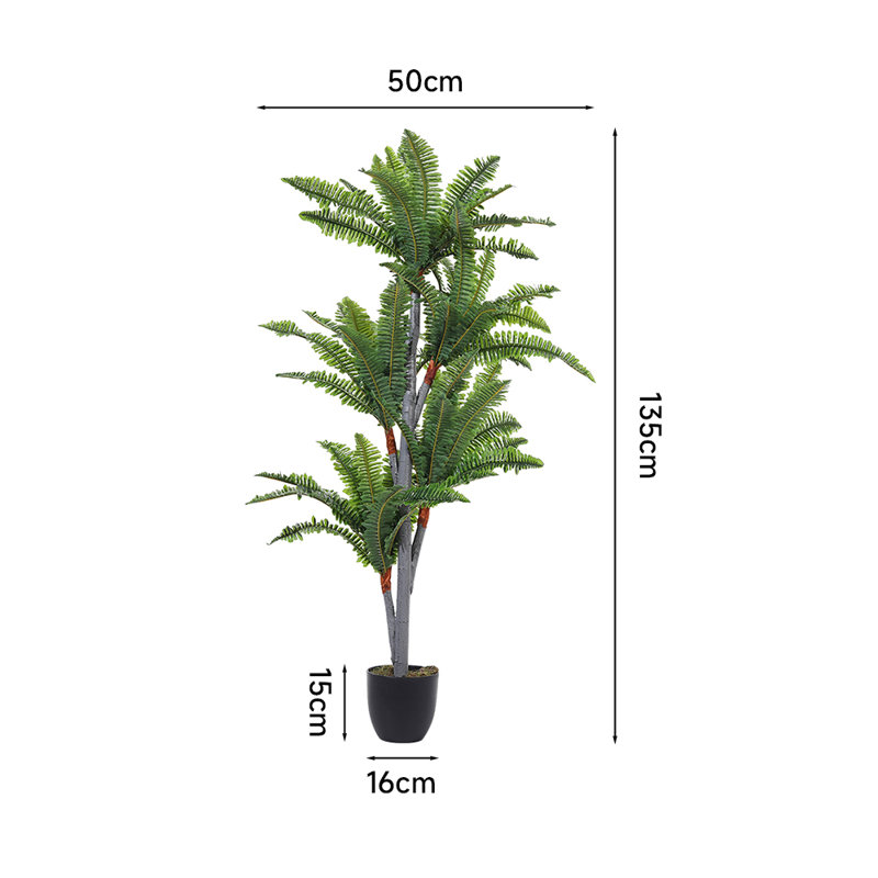 135cm Plant