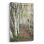 «Birch Trail» par Natalie Mikaels-470857034