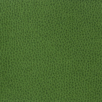 Matter Fabric