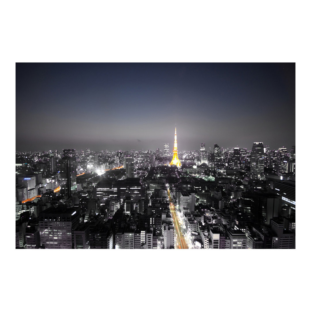 Tokyo 3.2m x 4.8m Textured Matt Peel & Stick Wall Mural