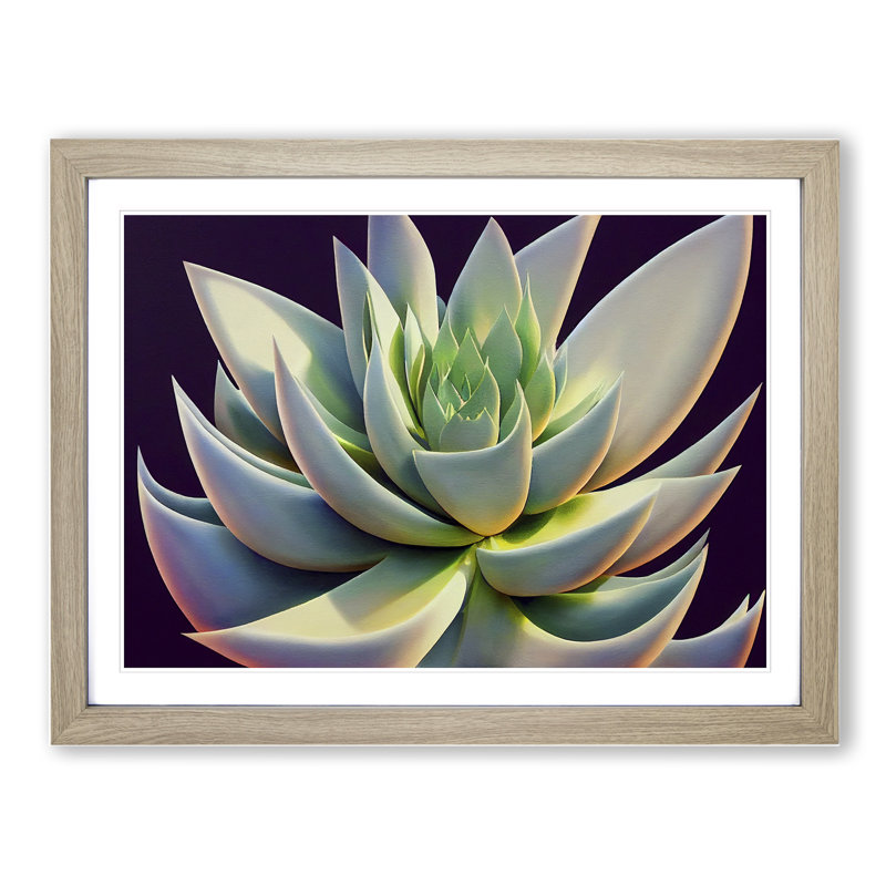 Ravishing Succulent Plant - Single Picture Frame Print, 34cm H x 46cm W x 2cm D, Oak Framed