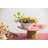 Maria Flor Small Cake Stand 11"