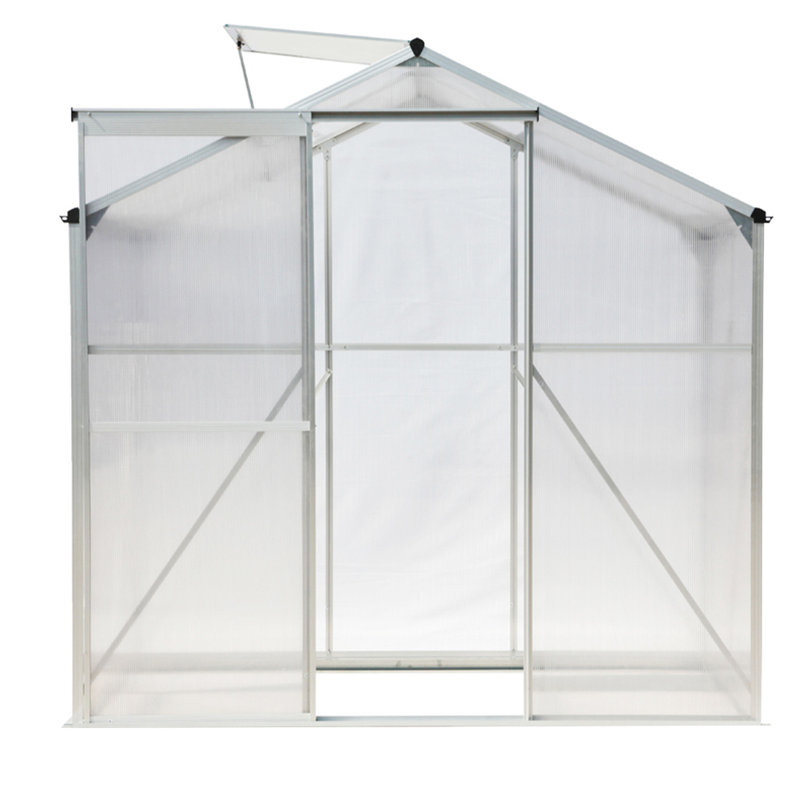 Reinbeck 6.23 Ft W x 4.29 Ft D Lean-To Greenhouse