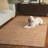 Pine 704 Hand Tufted Wool/Cotton/Latex No Pattern Rug in Natural/Gold-1723710240