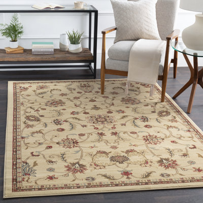 Area Rug