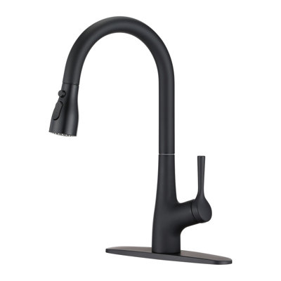 Robinet d'évier de cuisine à poignée simple - noir mat