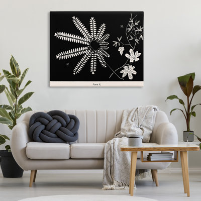 Fougères et feuilles sur toile noire, design par Phillipa Katz