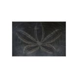 Sand Dollar II Print by Harold Davis