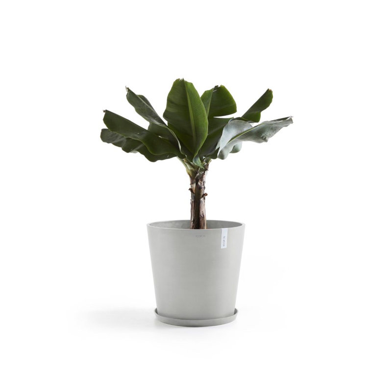 Jardinières en pot, H 15,75 po x l 15,75 po x P 13,78 po, Blanc gris