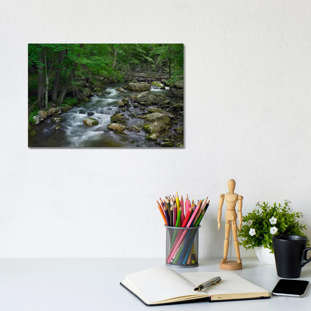 Little Stony Creek Flowing Through Jefferson National Forest, Virginia von Tim Fitzharris - Gallery-Wrapped Canvas Giclé...