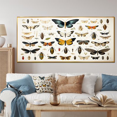 Blue And Yellow Insects And Bugs - Insects & Bugswall Art