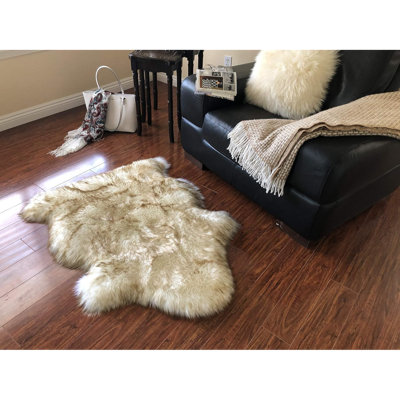 Area Rug