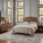 Cadelaria  Machine Woven Rug-1534146779