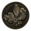 Horse Chestnut Mushroom Knob-16686617